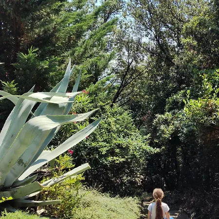 Apartament Nebokraj *